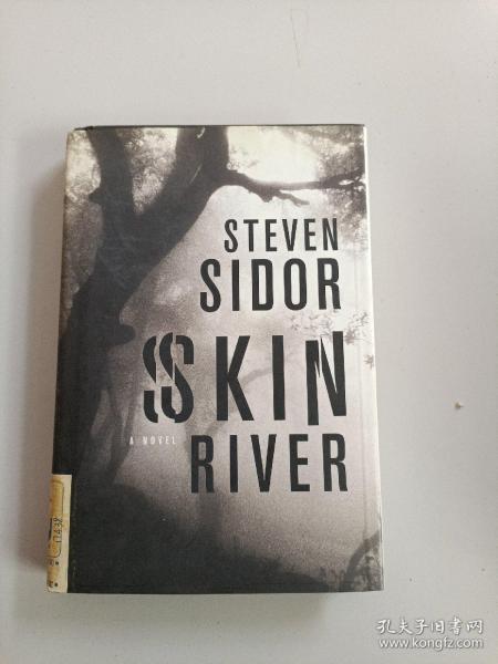 SKIN RIVER:A NOVEL(皮肤河）