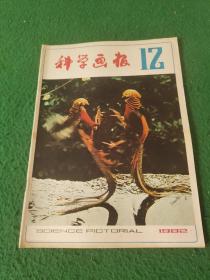 科学画报1982年12