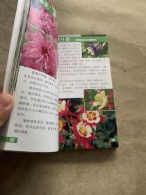 植物园的四季