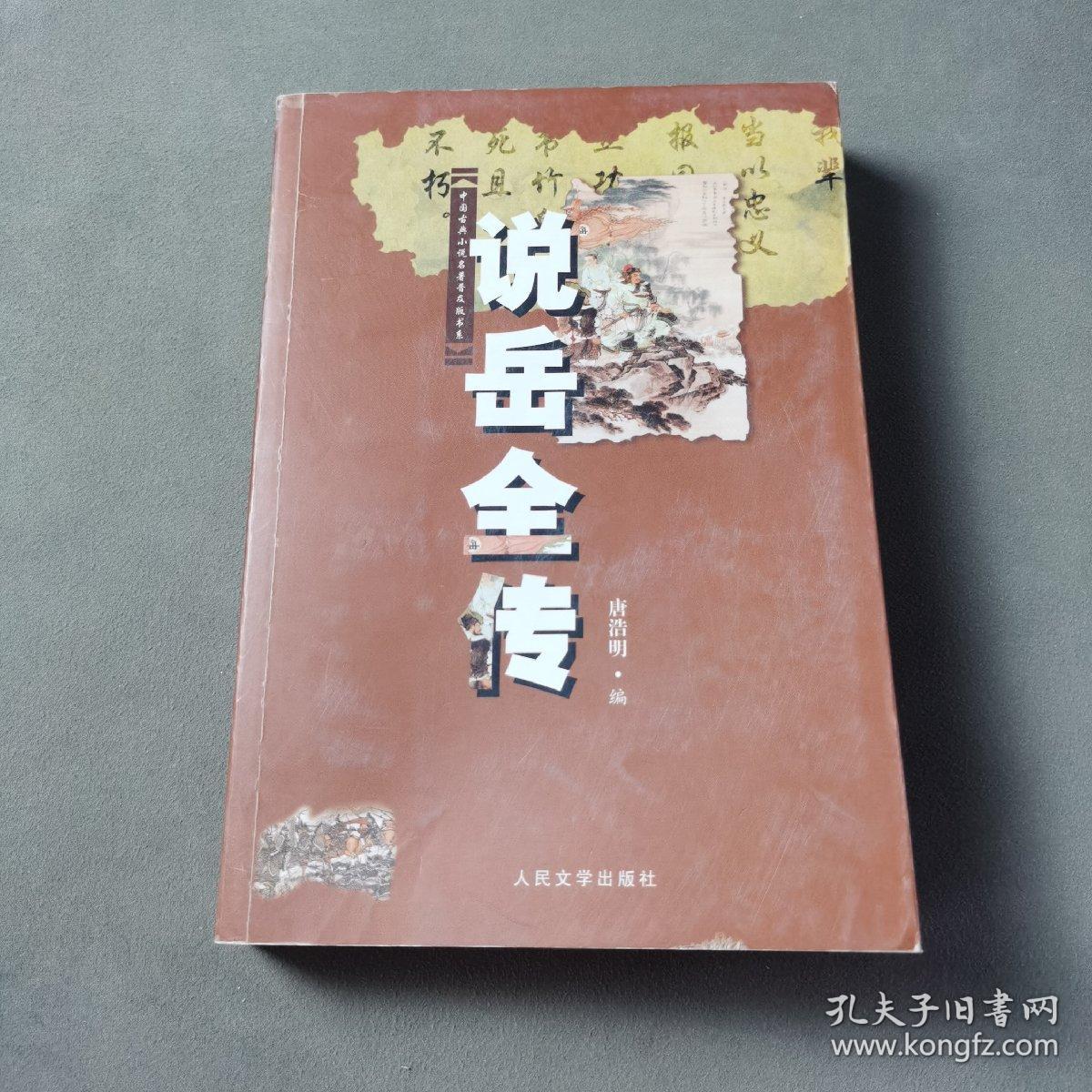 中国古典文学普及读本：说岳全传