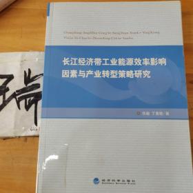 长江经济带工业能源效率影响因素与产业转型策略研究