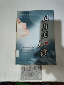 风月美人湾:现代情感小说