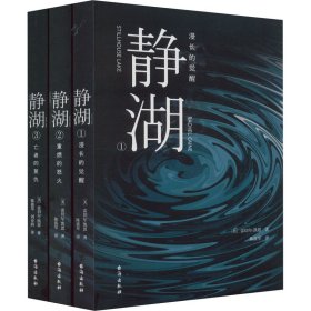 静湖（全三册，《纽约时报》榜单作家雷切尔·凯恩高能悬疑，从完美夫妻到生死仇敌，每一个沉入湖底的女孩，都只是替身）