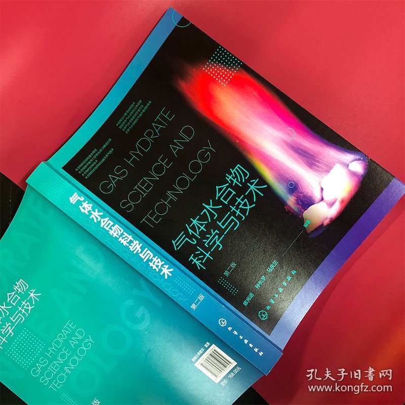 气体水合物科学与技术