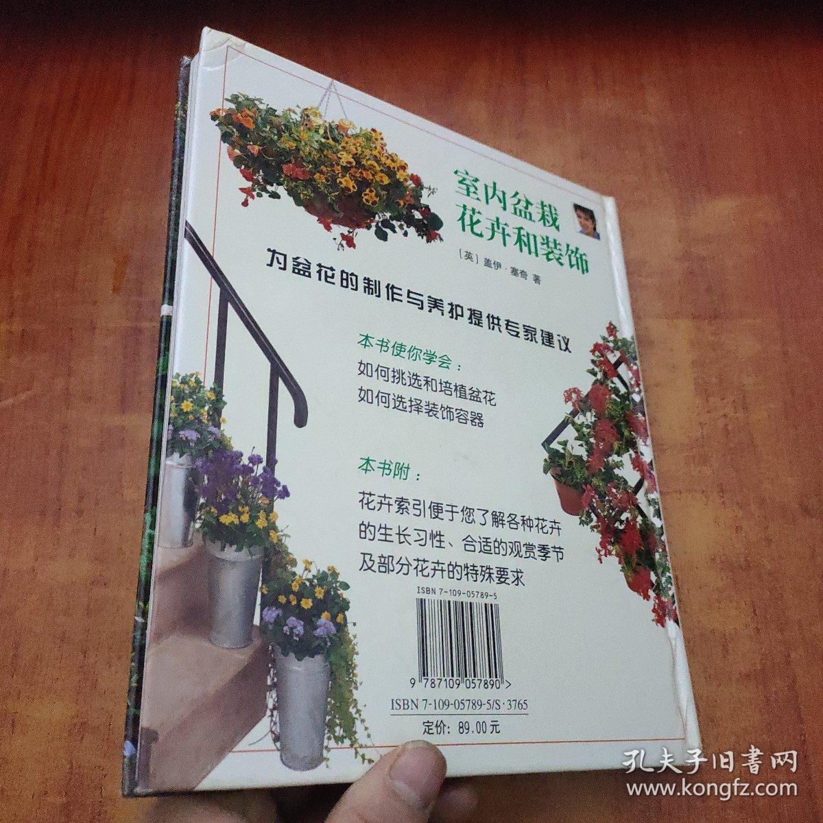 室内盆栽花卉和装饰
