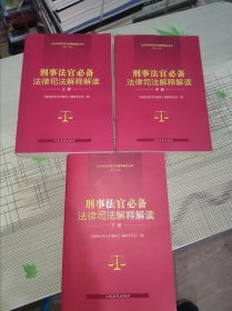 刑事法官必备法律司法解释解读（第三版）（上中下） 正版原版 书内干净完整 书品九品请看图