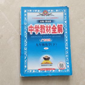 中学教材全解 九年级化学下 人教版 2017春