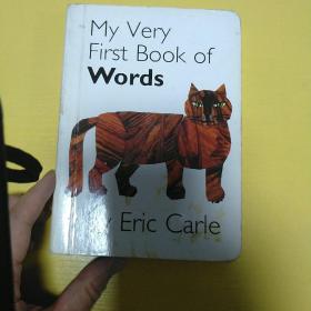 My Very First Book of Words   Board book    我的第一本单词书  