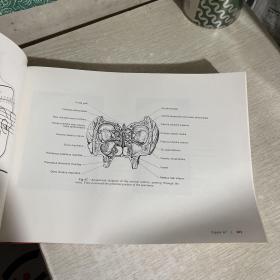 Normal Neuroradiology And Atlas of the Skull, Sinuses, and Facial Bones ，正常神经放射学 和颅骨（头骨）、鼻窦和面部骨骼图谱图集，大开本