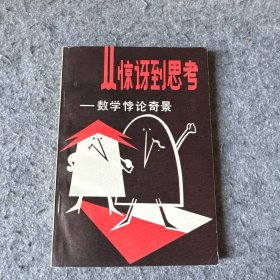 从惊讶到思考—数学悖论奇景（品相好，内页干净）