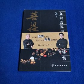 文玩菩提子把玩与鉴赏