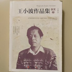 王小波作品集.杂文卷