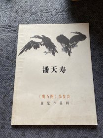 潘天寿《鹰石图》品鉴会展览作品辑