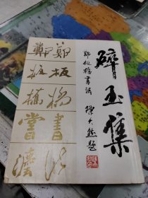 碎玉集:关板桥书法 有字迹不影响阅读