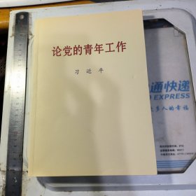 论党的青年工作大字本