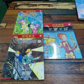 神奇校车.解密岩石.跟踪昆虫，觅骨寻踪共计3本