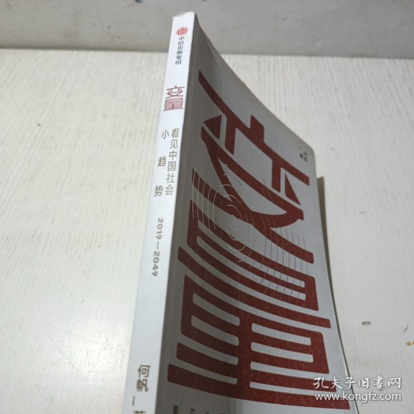 变量：看见中国社会小趋势