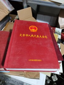 文登市人民代表大会志（品相如图自鉴）