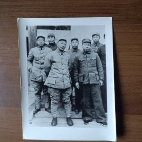 聂荣臻、罗荣桓、刘亚楼、肖华等合影照片（8寸）
