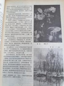 美术之友 1982年1 2 3期三本合售