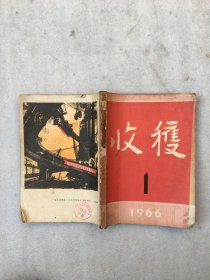 收获1966.1