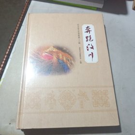 汶川县文史资料第十六辑：奔跑汶川（未开封）