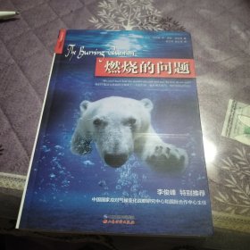 燃烧的问题