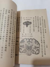 民国医学卫生教育教科书文献“生理卫生新教科书”一册全，绍兴杜亚东、杜就田译订，上海商务印书馆印行，书内多图并有彩图一幅，具体如图所示，看好下拍，包邮不还价