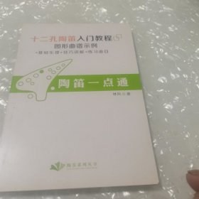 十二孔陶笛入门教程，图形曲谱示例，基础乐理，技巧讲解，练习曲目，内页干净