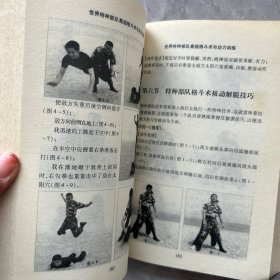 世界特种部队高级格斗术与功力训练
