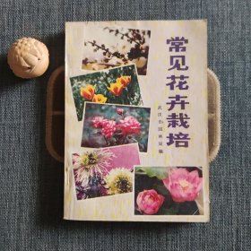 常见花卉栽培