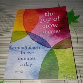 The Joy of Now Journal: mindfulness in five minutes a day