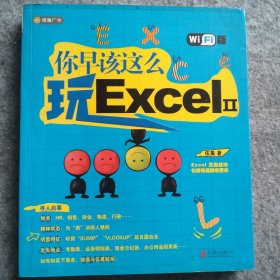 你早该这么玩Excel II （WiFi版）