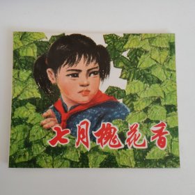 精品连环画：《七月槐花香》