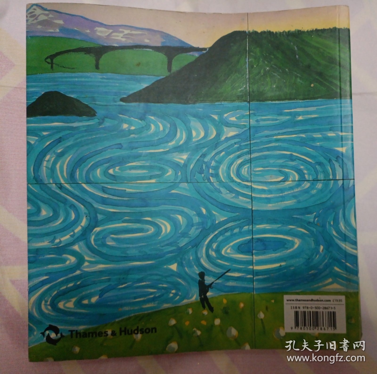 Hockney's Pictures（145—176页书脊有脱胶。请谨慎下单，售后不退，请勿议价，非诚勿扰。）塑柜四层