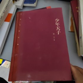 茅盾文学奖获奖作品全集：少年天子（精装本）书开页白页有写字