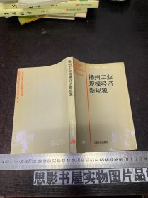 揚(yáng)州工業(yè)規(guī)模經(jīng)濟(jì)新現(xiàn)象