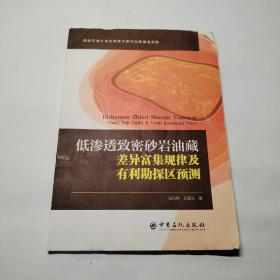 低渗透致密砂岩油藏差异富集规律及有利勘探区预测