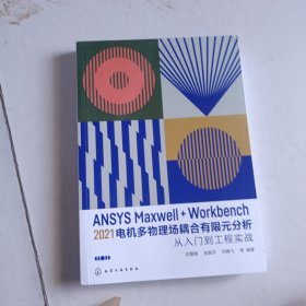 ANSYS Maxwell+Workbench 2021 电机多物理场耦合有限元分析从入门到工程实战