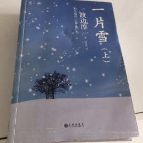 一片雪（全两册）