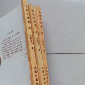 老武侠：情侠夺命箫（上中下）