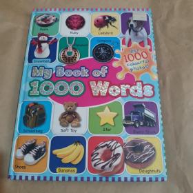 My book of 1070 words