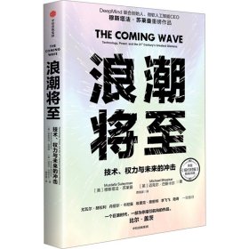 浪潮将至