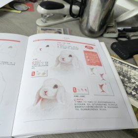 万物我画动物：39只色铅手绘萌物让你画出满满的甜蜜