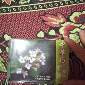 中草药原植物鉴别图册3