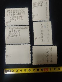 1958年 上海嘉定工作人员 下乡劳动锻炼前照片一组6张合销(徐正铨 李新华 黄宝玉 钱永麟 张连川 朱根生 孟汉光 朱鸿斌 李浩 林学舜)