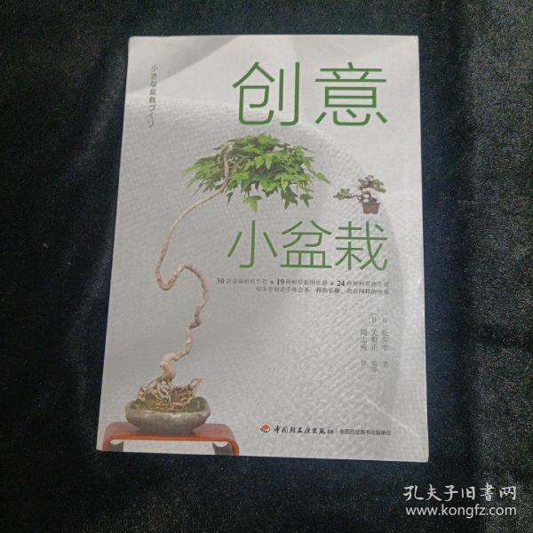 创意小盆栽