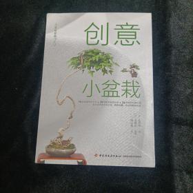 创意小盆栽