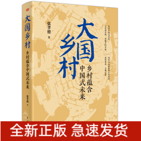 大国乡村：乡村蕴含中国式未来