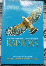 Photographic Guide to North American Raptors 北美猛禽摄影指南